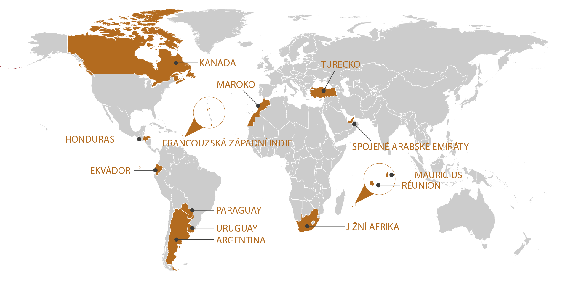 RGIS_FRANCHISE_WORLD_CZ_1125. RGIS Franchise