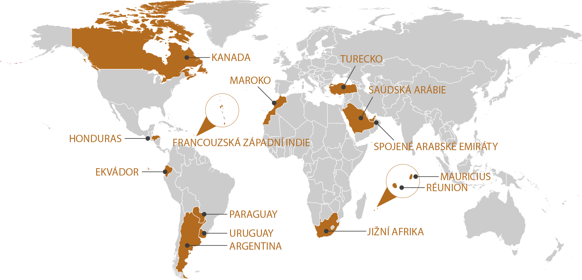 RGIS_FRANCHISE_WORLD_CZ_2 RGIS_FRANCHISE_WORLD_CZ_2