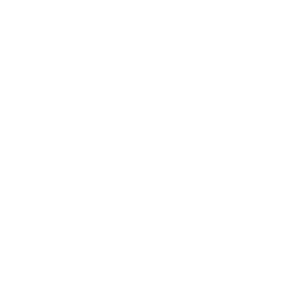 franchise investing